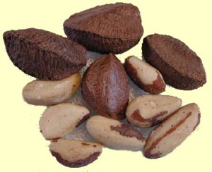 brazil nuts selenium dr gregory house