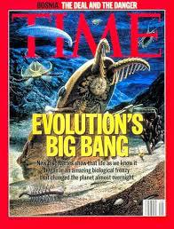 Cambrian explosion Time Magazine