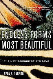 Endless Forms Most Beautiful Sean Carroll