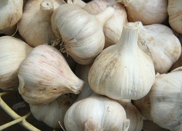 Garlic_CAlcium_Score_Basket_Wikimedia