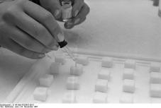 Polio-Schutzimpfung im Gesundheitsamt Bonn