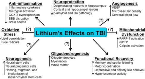 Leeds Peter lithium in traumatic brain injury 2014