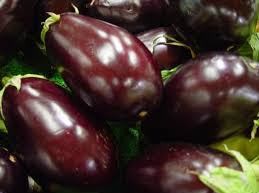 Eggplant2_wikimedia