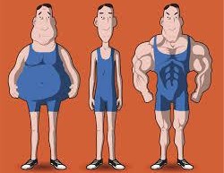 HGH-Human-Growth-Hormone-Body-Changes