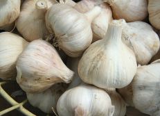 Garlic_CAlcium_Score_Basket_Wikimedia