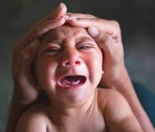 microcephaly_glyphosate_zika4
